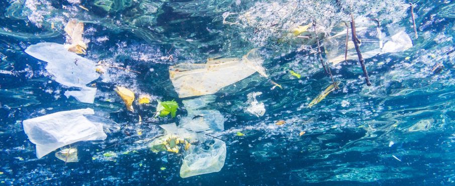 Le danger de la pollution plastique