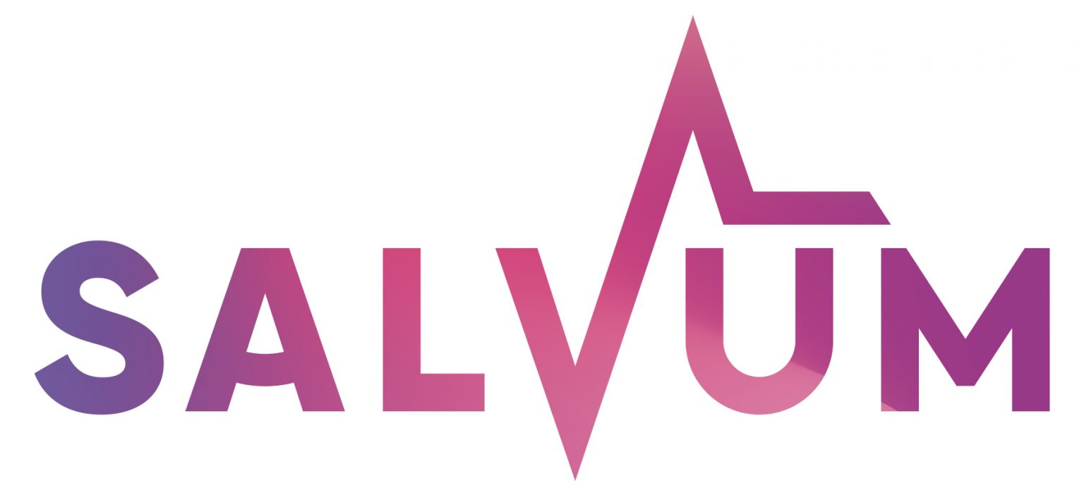  logo Salvum
